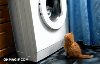 Cat washing machine